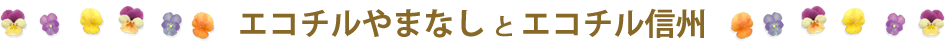エコチルやまなし と エコチル信州