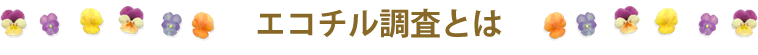 エコチル調査とは